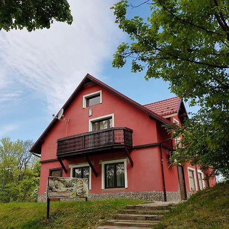 Apartamenty U Bodzia Stronie Śląskie المظهر الخارجي الصورة