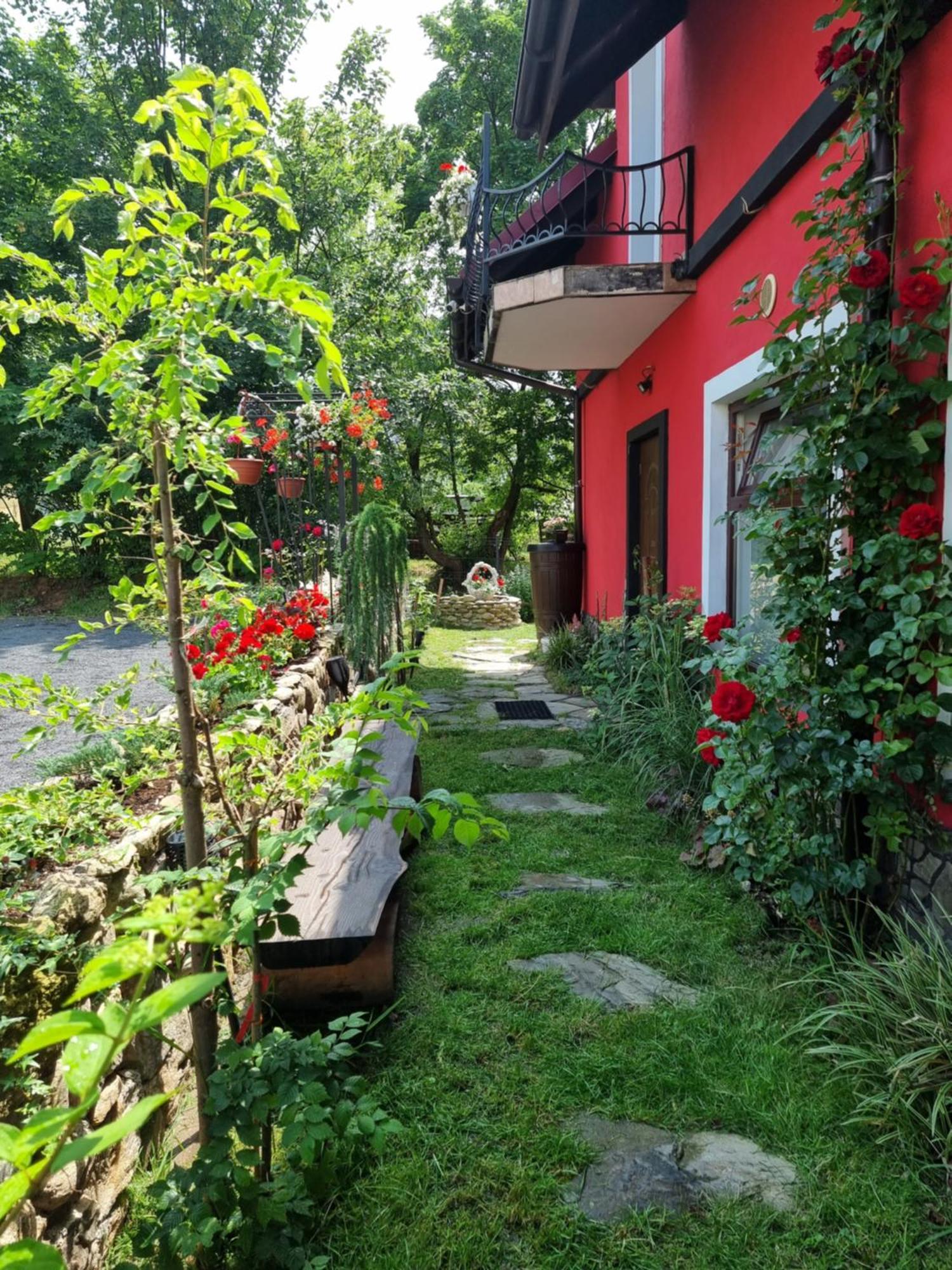 Apartamenty U Bodzia Stronie Śląskie المظهر الخارجي الصورة