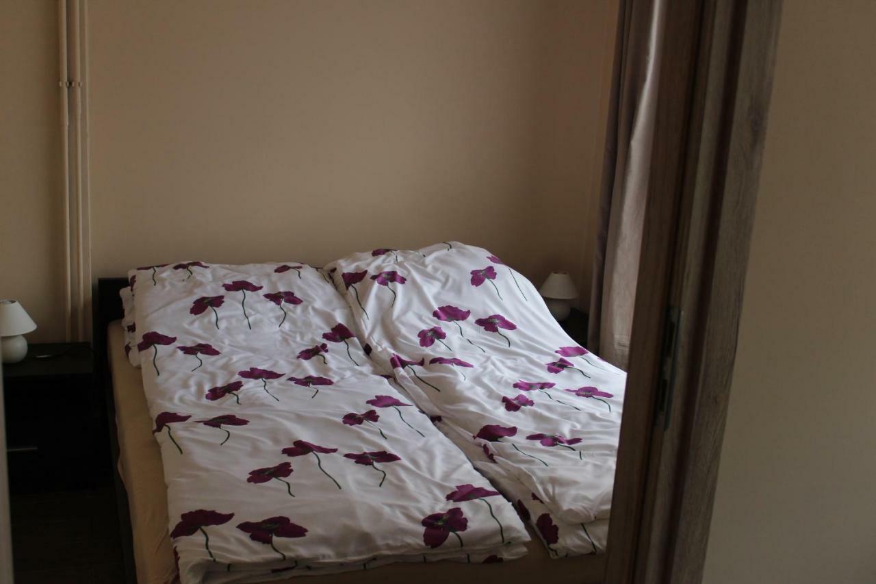 Apartamenty U Bodzia Stronie Śląskie المظهر الخارجي الصورة